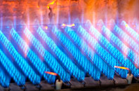 Swanpool gas fired boilers